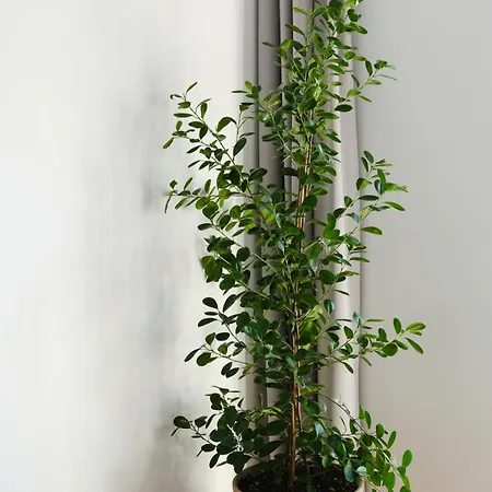 Miss Grey I Cu Un Dormitor I One Cotroceni Park דירה בוקרשט