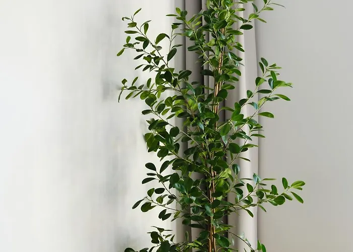 Miss Grey I Cu Un Dormitor I One Cotroceni Park Apartman Bukarest